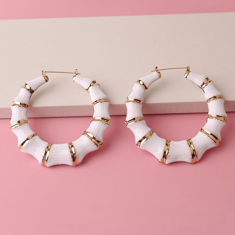 Enamel Drop Hoop Earrings