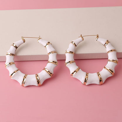 Enamel Drop Hoop Earrings
